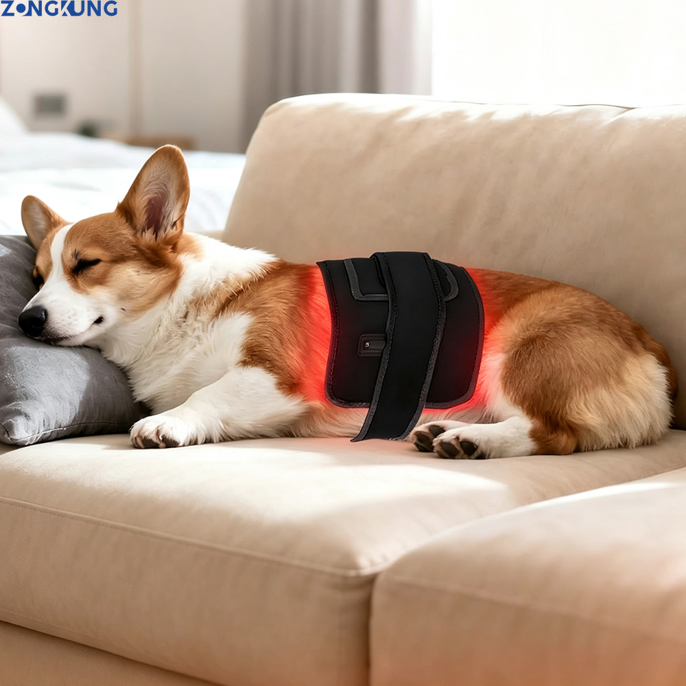 Galvanic Skin Sensor - Red Light Therapy for Pets Vet