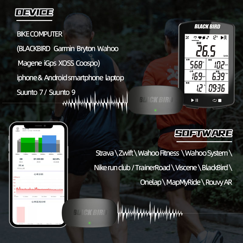 BlackBird HR1 Heart Rate Senso - Breath Rate Monitor review and price